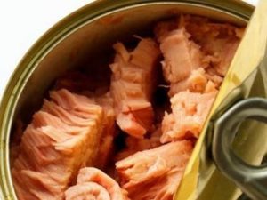 salmon proteína para aumentar masa muscular