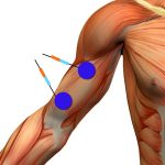 ejercicios para bíceps electrodos