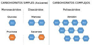 carbohidratos tabla