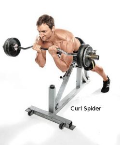 como estimular los biceps-spider
