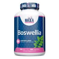 Boswellia 250mg - 100 caps