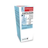 Cartilogen Gel - 150 ml