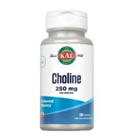 Choline 250mg - 100 tabs