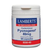 Pycnogenol - 60 caps