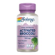 Activated Broccoli Seed Extract 350mg - 30 vcaps