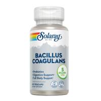Bacillus Coagulans - 60 vcaps