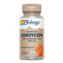 Cordyceps 500mg - 60 vcaps