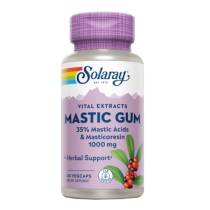 Mastic Gum 500mg - 45 vcaps