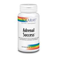 Adrenal Succes - 60 vcaps