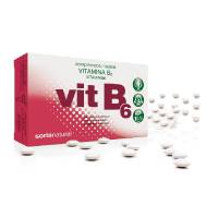 Vitamina B6 - 48 tabs