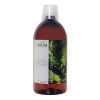 Bebida de Aloe Vera - 250ml