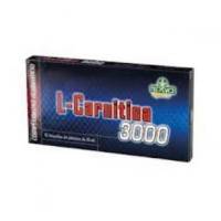 L-Carnitina 3000 - 10 ampollas