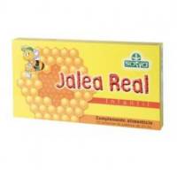 Jalea Real Infantil - 10x10 ml