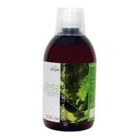 Bebida de Aloe Vera - 500ml