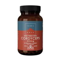 Cordiceps 500 mg (Cordyceps sinensis) - 50 vcaps